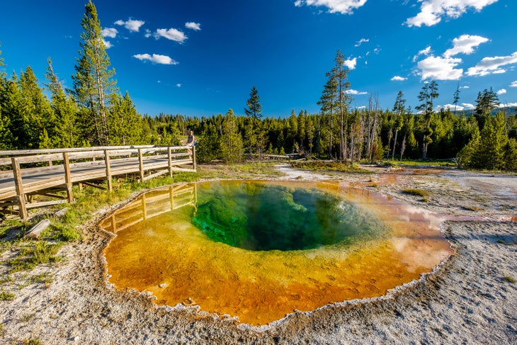 Morning Glory Pool in Yellowstone's Upper Geyser Basin