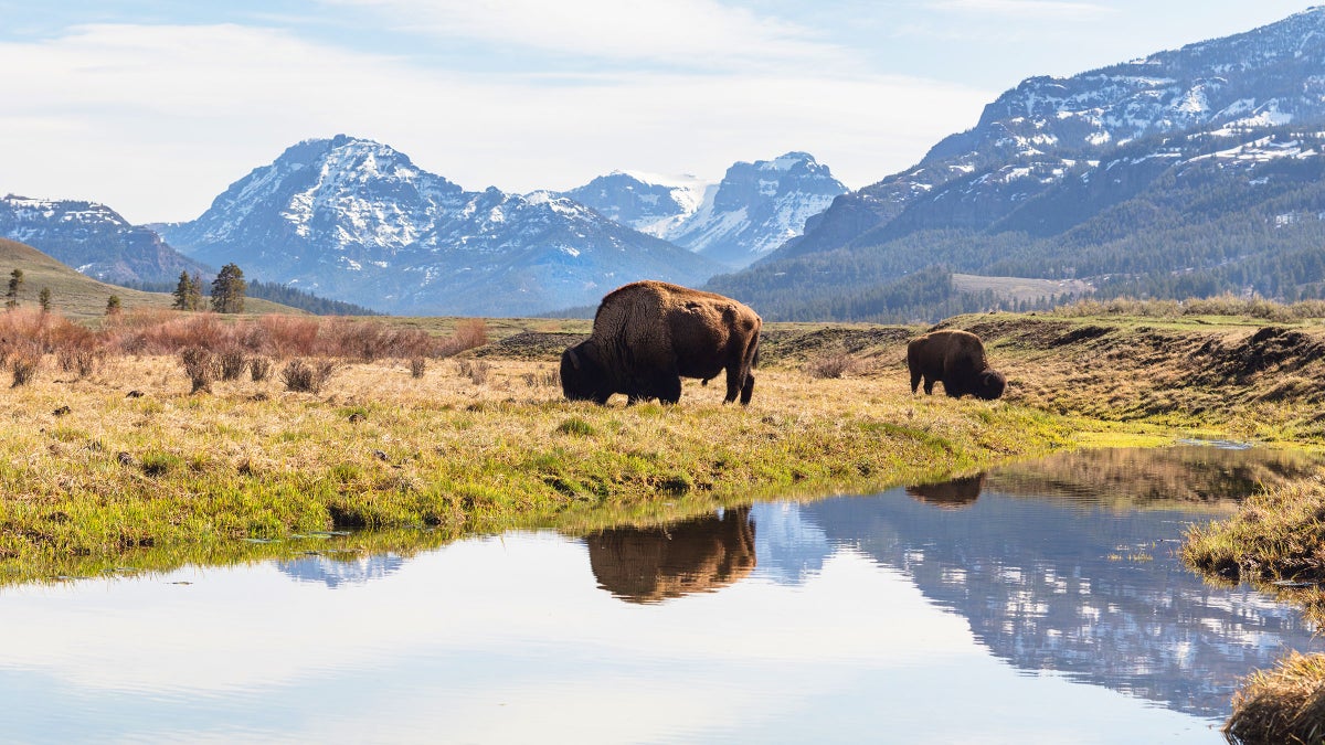 Yellowstone Regional Airport in Cody, Wyoming