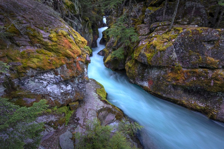 Avalanche Creek along the Avalanche Lake Trail